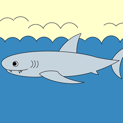 How to Draw a Shark Step by Step