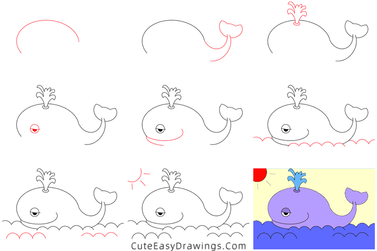 how to draw a whale - www.cuteeasydrawings.com