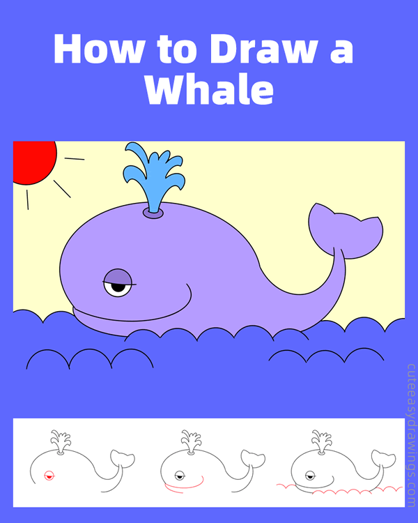 how to draw a whale - www.cuteeasydrawings.com