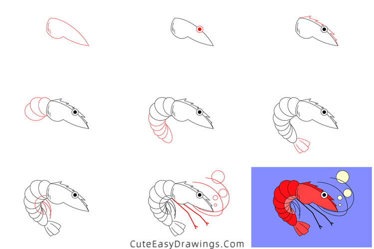 how to draw a shrimp - www.cuteeasydrawings.com