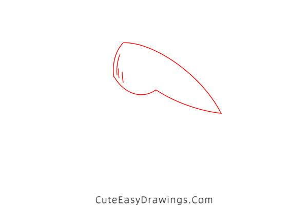 how to draw a shrimp - www.cuteeasydrawings.com