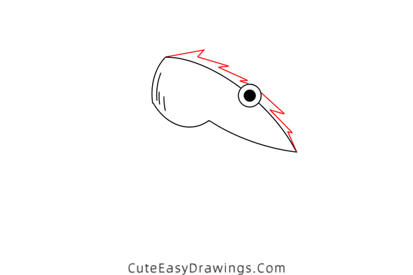 how to draw a shrimp - www.cuteeasydrawings.com