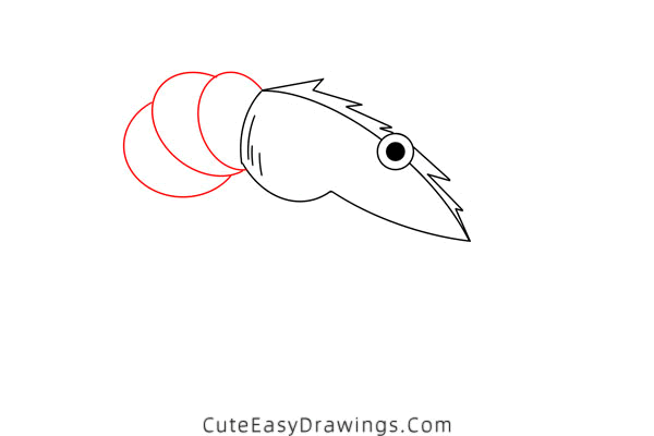 how to draw a shrimp - www.cuteeasydrawings.com