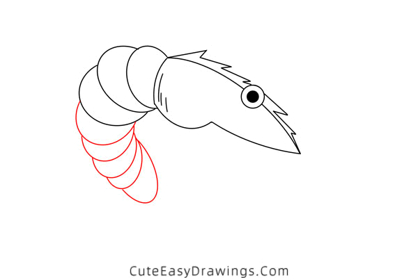 how to draw a shrimp - www.cuteeasydrawings.com