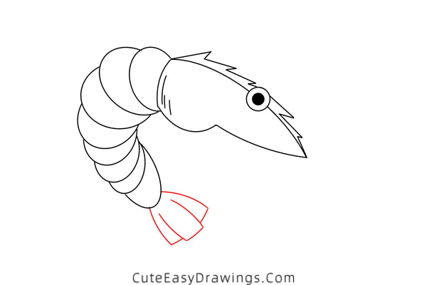 how to draw a shrimp - www.cuteeasydrawings.com