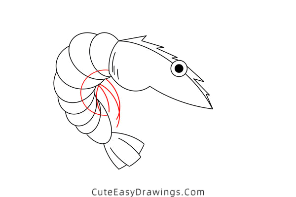 how to draw a shrimp - www.cuteeasydrawings.com