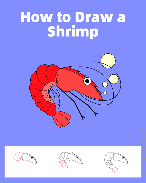 how to draw a shrimp - www.cuteeasydrawings.com