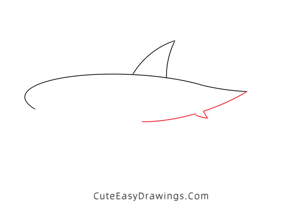 how to draw a shark - www.cuteeasydrawings.com