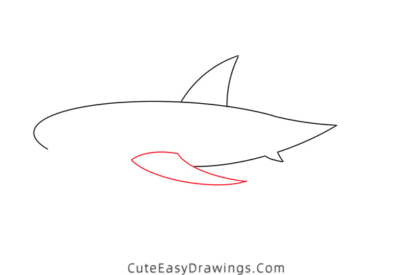 how to draw a shark - www.cuteeasydrawings.com