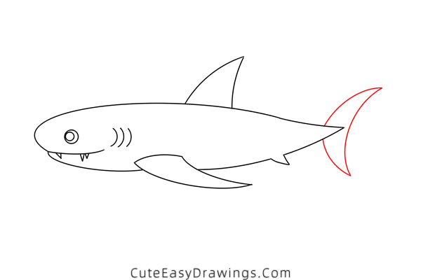 how to draw a shark - www.cuteeasydrawings.com