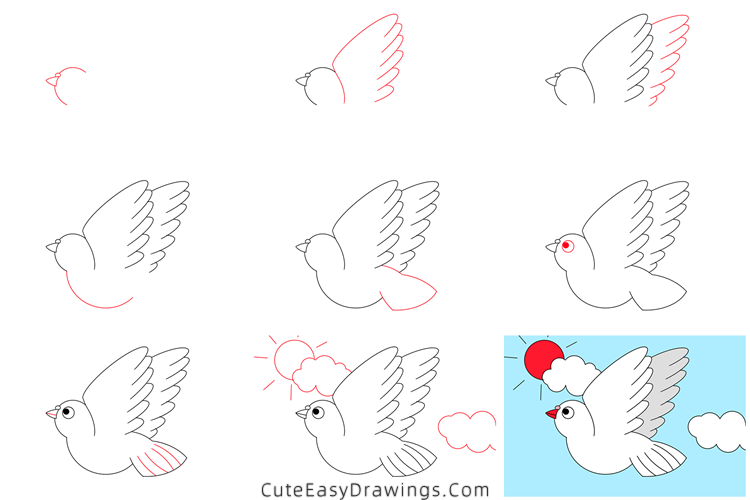 how to draw a pigeon - www.cuteeasydrawings.com