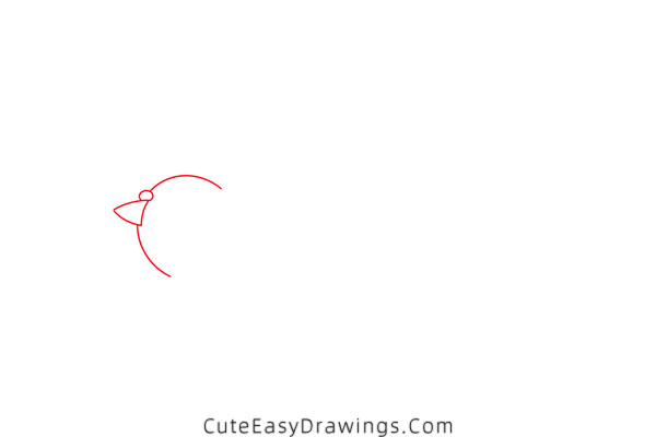 how to draw a pigeon - www.cuteeasydrawings.com