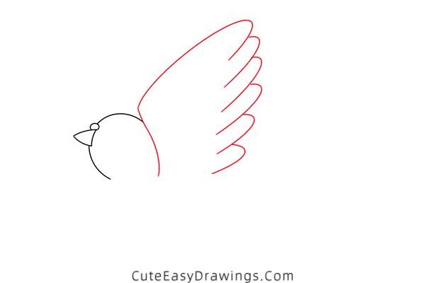 how to draw a pigeon - www.cuteeasydrawings.com