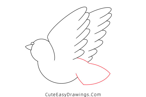 how to draw a pigeon - www.cuteeasydrawings.com