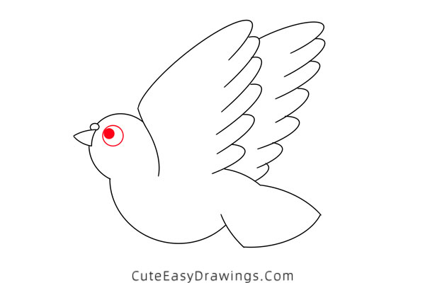 how to draw a pigeon - www.cuteeasydrawings.com