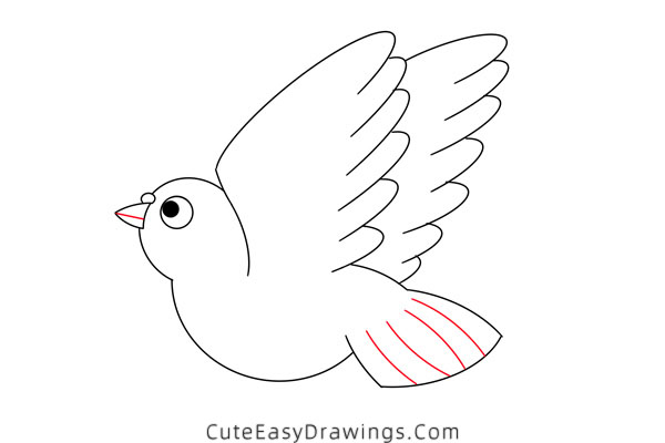 how to draw a pigeon - www.cuteeasydrawings.com