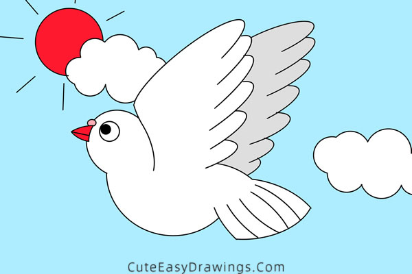 how to draw a pigeon - www.cuteeasydrawings.com