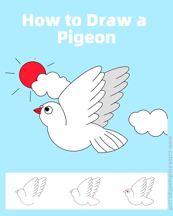 how to draw a pigeon - www.cuteeasydrawings.com