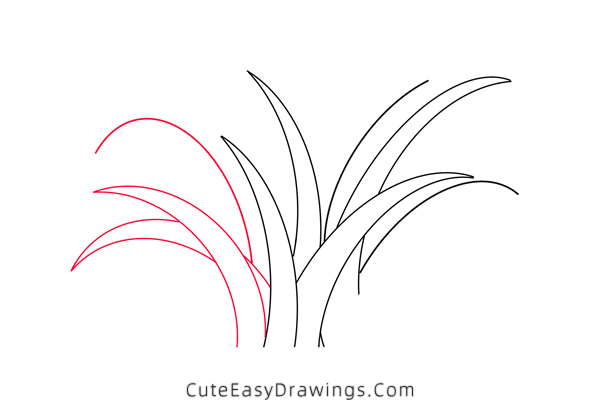 how to draw grass - www.cuteeasydrawings.com