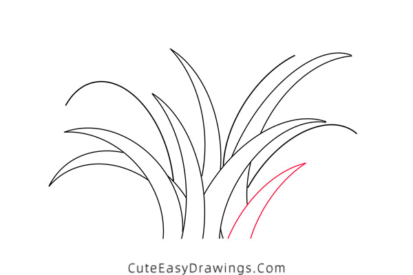 how to draw grass - www.cuteeasydrawings.com