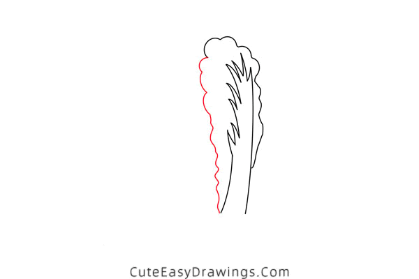 how to draw a chinese cabbage - www.cuteeasydrawings.com