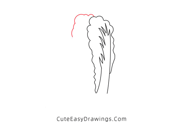 how to draw a chinese cabbage - www.cuteeasydrawings.com