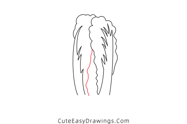 how to draw a chinese cabbage - www.cuteeasydrawings.com