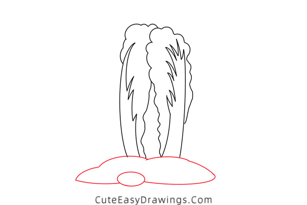 how to draw a chinese cabbage - www.cuteeasydrawings.com