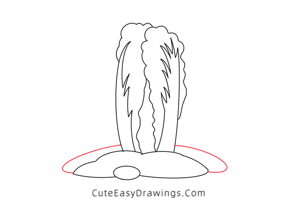 how to draw a chinese cabbage - www.cuteeasydrawings.com