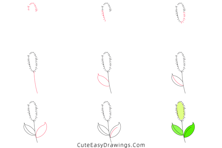 how to draw a green foxtail - www.cuteeasydrawings.com