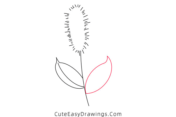 how to draw a green foxtail - www.cuteeasydrawings.com