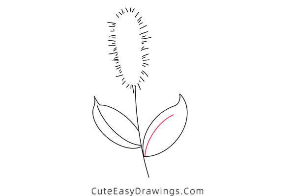 how to draw a green foxtail - www.cuteeasydrawings.com