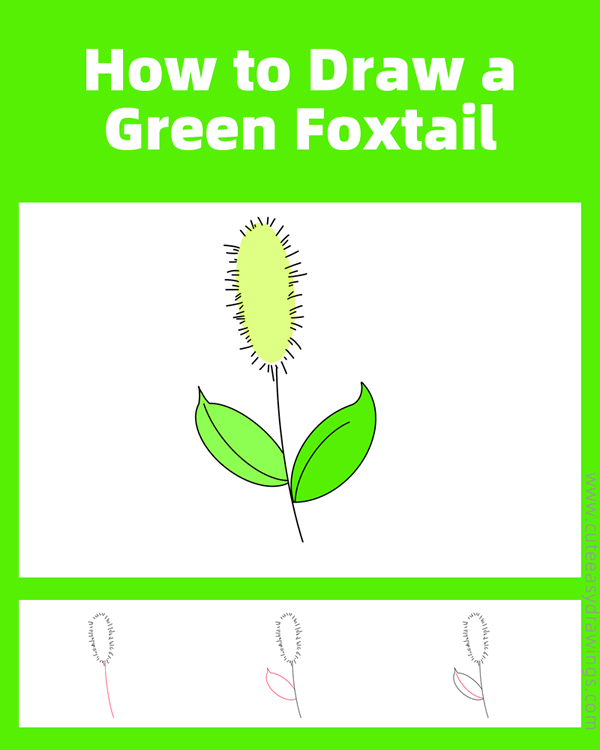 how to draw a green foxtail - www.cuteeasydrawings.com