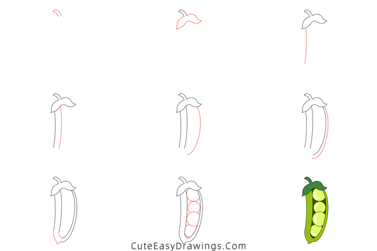 how to draw peas in a pod - www.cuteeasydrawings.com