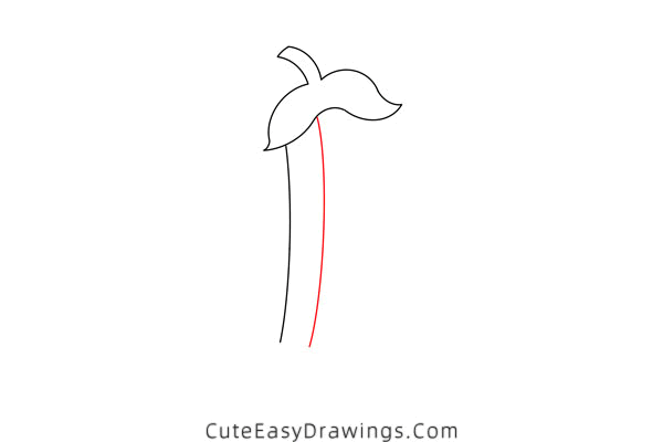 how to draw peas in a pod - www.cuteeasydrawings.com