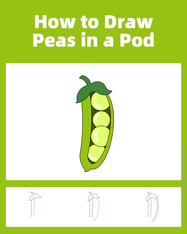 how to draw peas in a pod - www.cuteeasydrawings.com