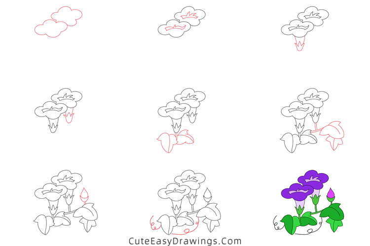 how to draw a morning glory - www.cuteeasydrawings.com