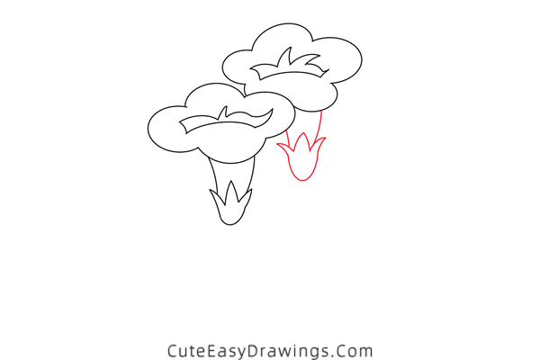 how to draw a morning glory - www.cuteeasydrawings.com