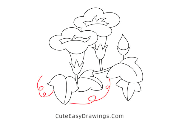 how to draw a morning glory - www.cuteeasydrawings.com