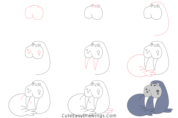 how to draw a walrus - www.cuteeasydrawings.com