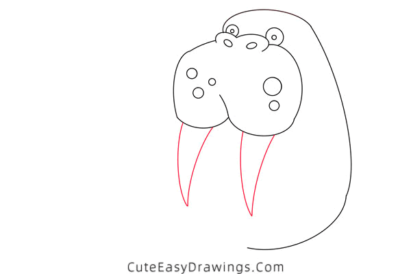 how to draw a walrus - www.cuteeasydrawings.com