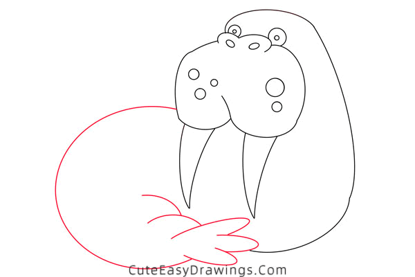 how to draw a walrus - www.cuteeasydrawings.com