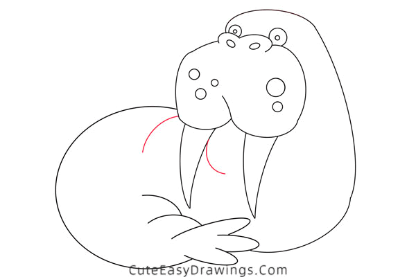 how to draw a walrus - www.cuteeasydrawings.com