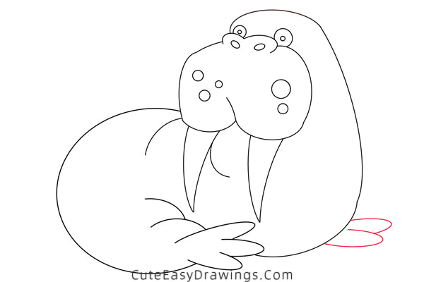 how to draw a walrus - www.cuteeasydrawings.com