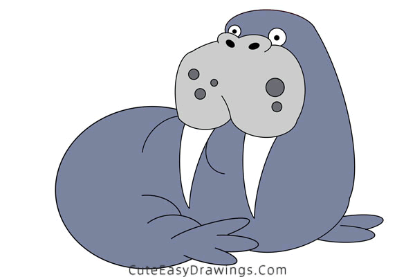 how to draw a walrus - www.cuteeasydrawings.com