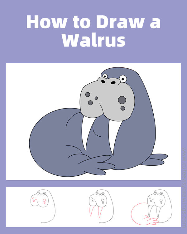 how to draw a walrus - www.cuteeasydrawings.com