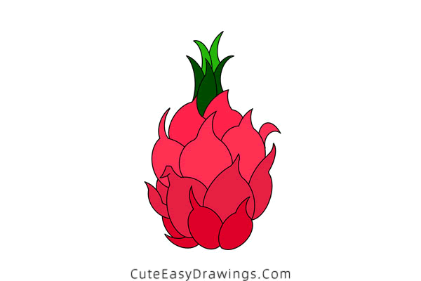 how to draw a dragon fruit - www.cuteeasydrawings.com