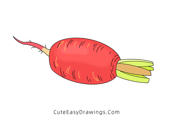 how to draw a carrot - www.cuteeasydrawings.com