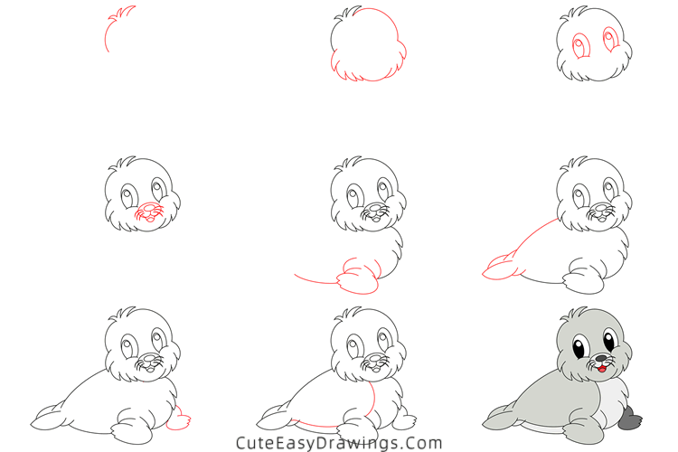 how to draw a sea lion - www.cuteeasydrawings.com