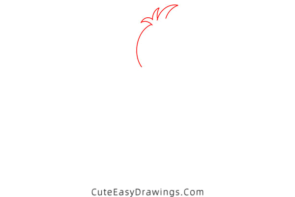 how to draw a sea lion - www.cuteeasydrawings.com